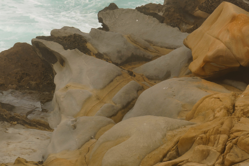 Bild von der Salt Point Coast [Salt Point State Park]