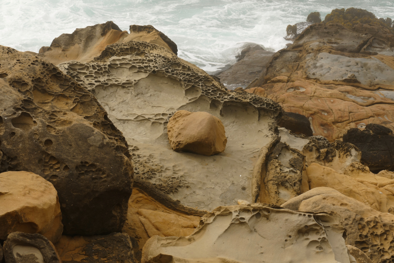 Bild von der Salt Point Coast [Salt Point State Park]