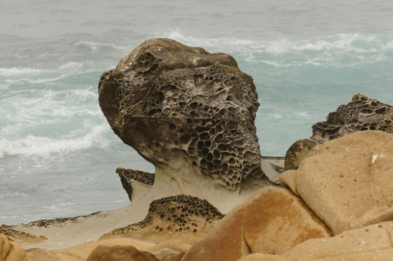 Bild von der Salt Point Coast [Salt Point State Park]