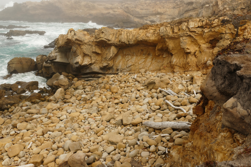 Bild von der Salt Point Coast [Salt Point State Park]