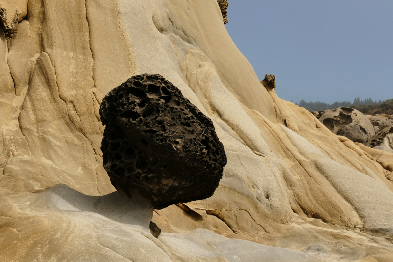 Bild von der Salt Point Coast [Salt Point State Park]