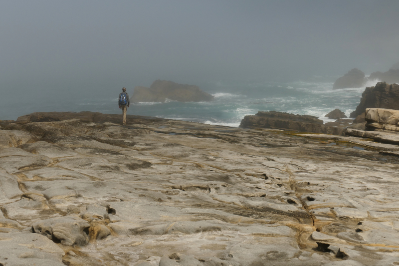 Bild von der Salt Point Coast [Salt Point State Park]