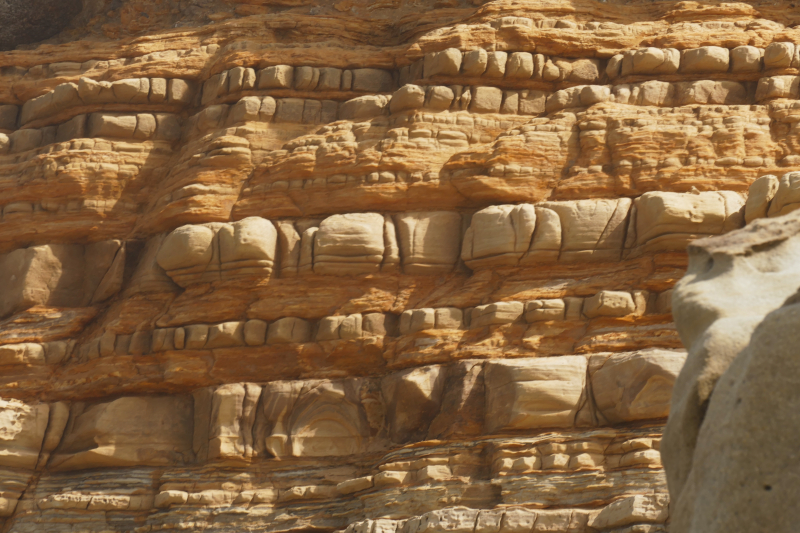 Bild von der Salt Point Coast [Salt Point State Park]