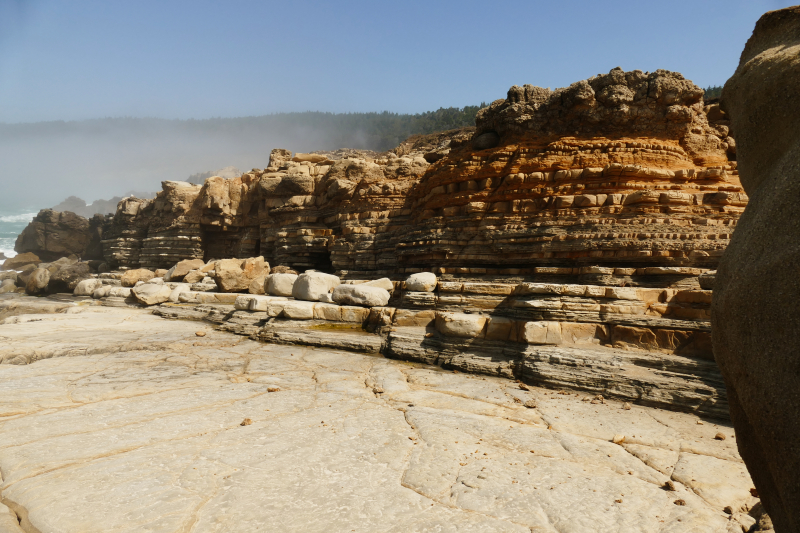 Bild von der Salt Point Coast [Salt Point State Park]