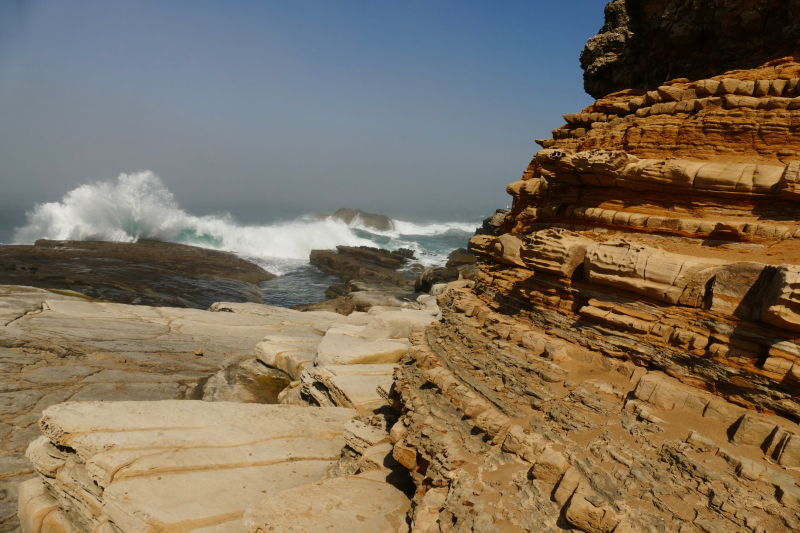 Bild von der Salt Point Coast [Salt Point State Park]