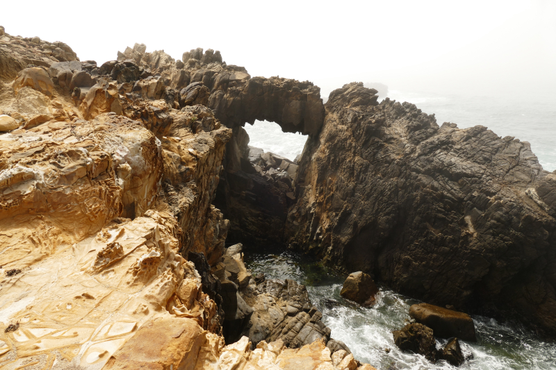 Bild Gerstle Cove Sea Arch [Salt Point State Park]