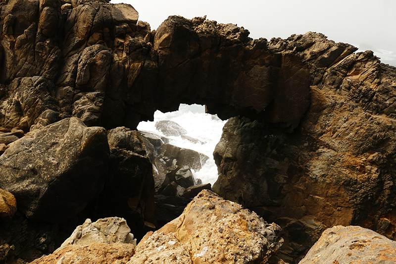 Bild Gerstle Cove Sea Arch [Salt Point State Park]