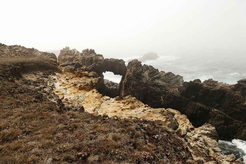 Bild Gerstle Cove Sea Arch [Salt Point State Park]