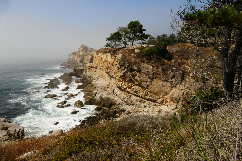 Stump Beach [Salt Point State Park]