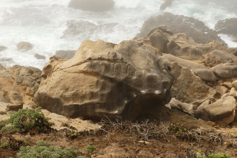 Bild Stump Beach [Salt Point State Park]