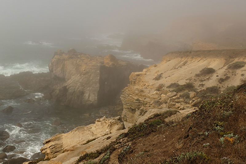 Stump Beach [Salt Point State Park]