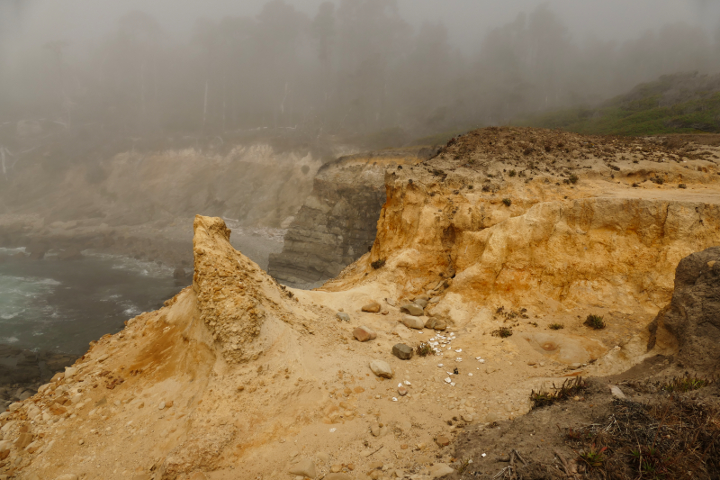 Bild Stump Beach [Salt Point State Park]