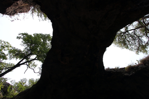 Sam Bass Arch