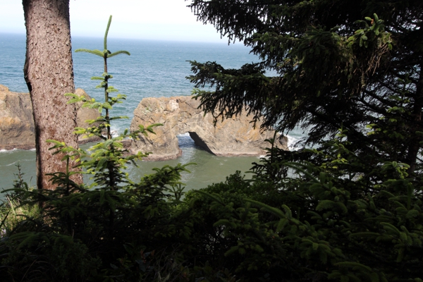 Arch Rock aka. Samuel H. Boardman Arch [Samuel H. Boardman State Park]