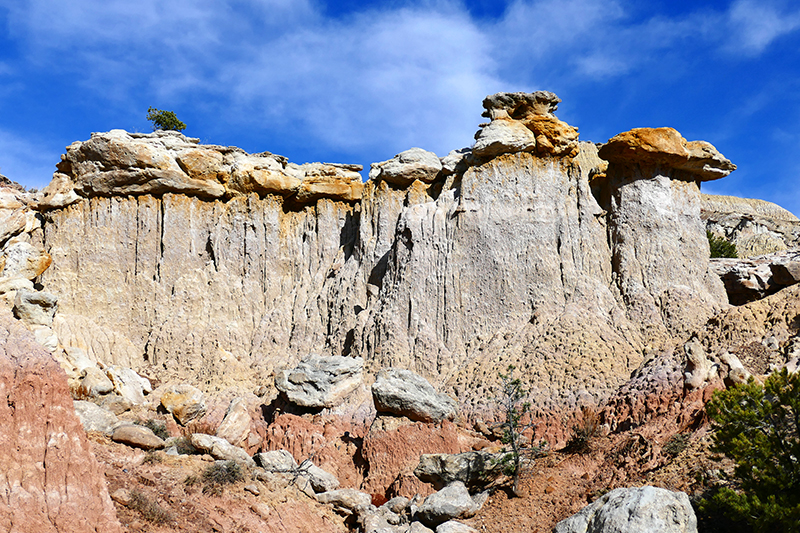 San Jose Badlands [San Juan Basin]