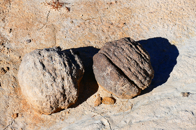 San Jose Badlands [San Juan Basin]