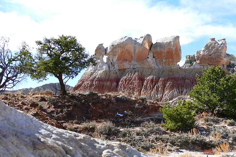 San Jose Badlands [San Juan Basin]