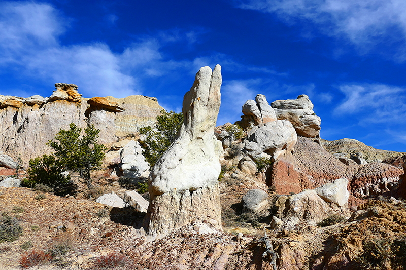 San Jose Badlands [San Juan Basin]