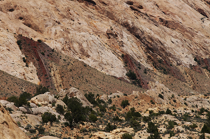 San Rafael Reef