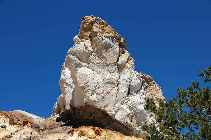 San Ysidro Anticline und White Mesa