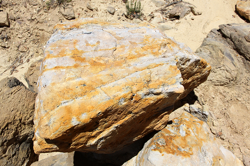 San Ysidro Anticline und White Mesa