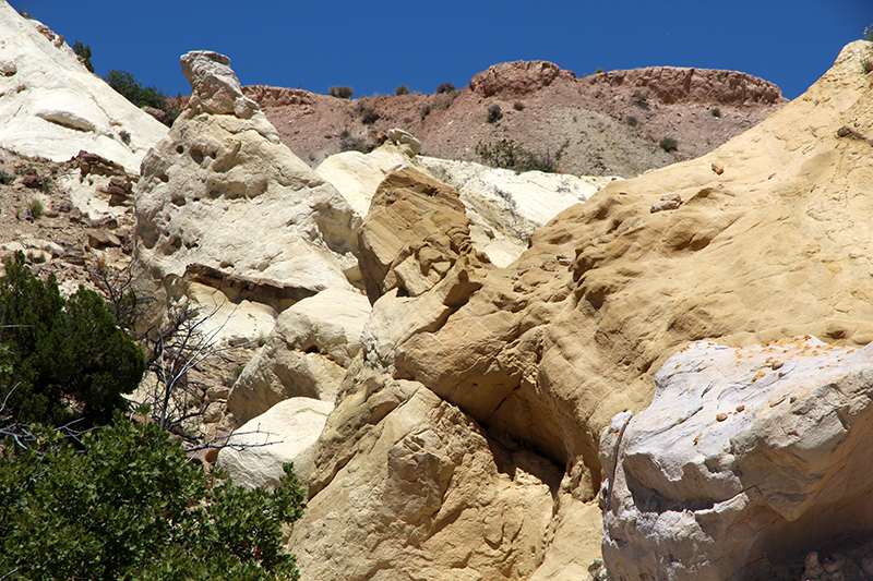 San Ysidro Anticline und White Mesa