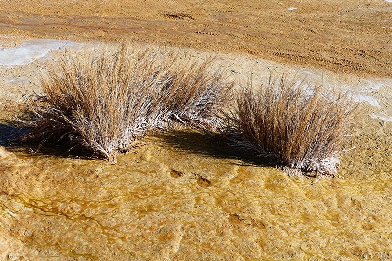 San Ysidro Anticline und White Mesa