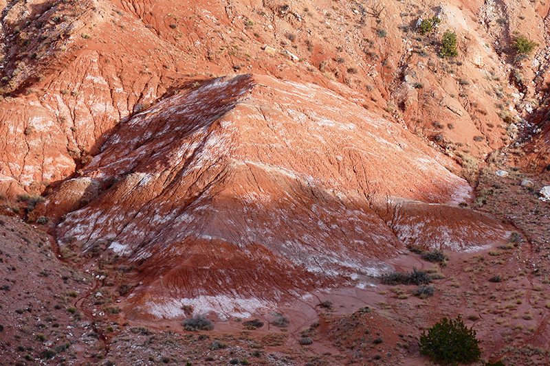 San Ysidro Anticline und White Mesa