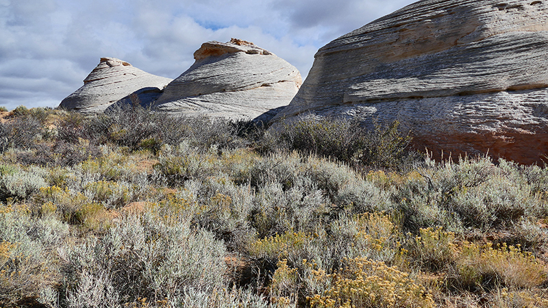 Sand Creek Wyoming