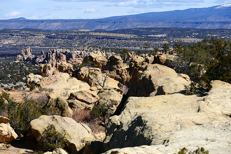 Sandstone Bluffs [El Malpais National Monument]