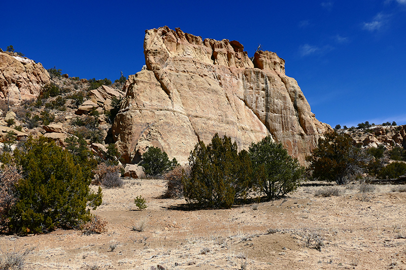 Sandstone Bluffs Loop [El Malpais National Monument]