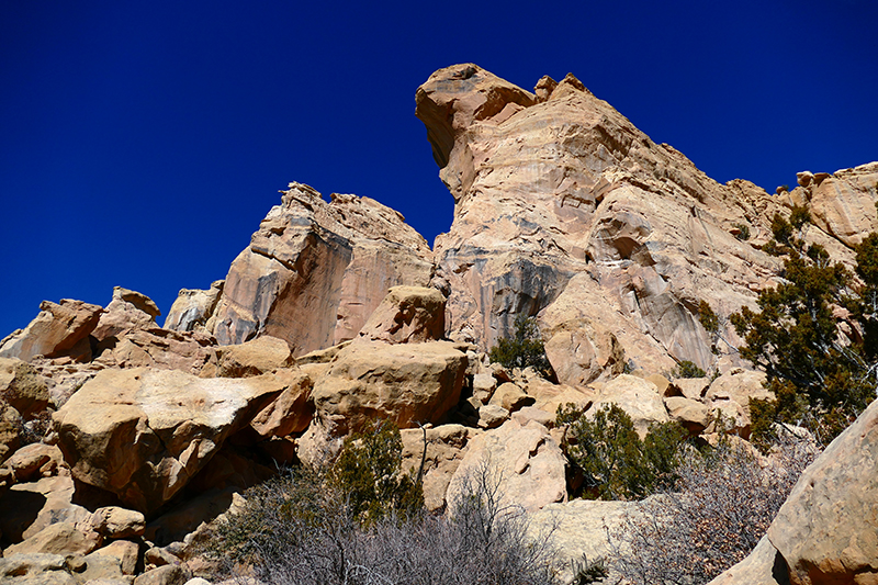 Sandstone Bluffs [El Malpais National Monument]