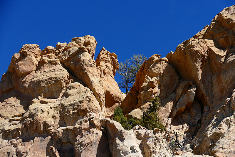 Sandstone Bluffs [El Malpais National Monument]