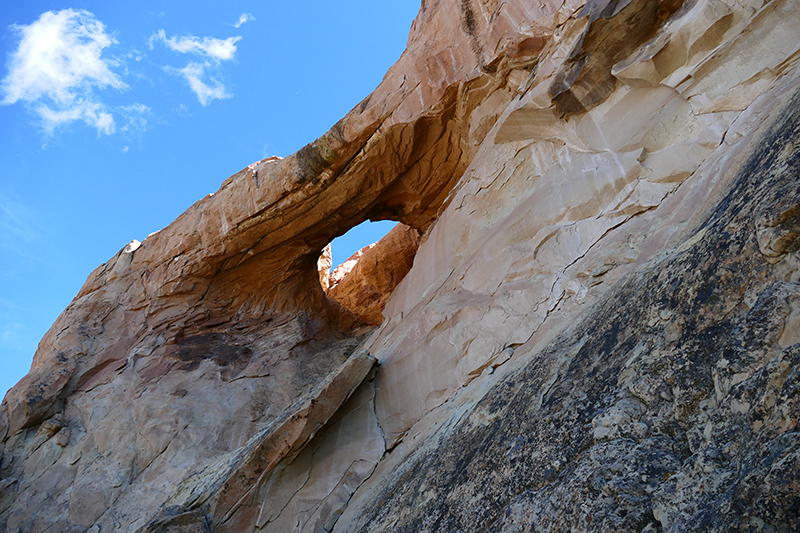 Sandstone Bluffs [El Malpais National Monument]