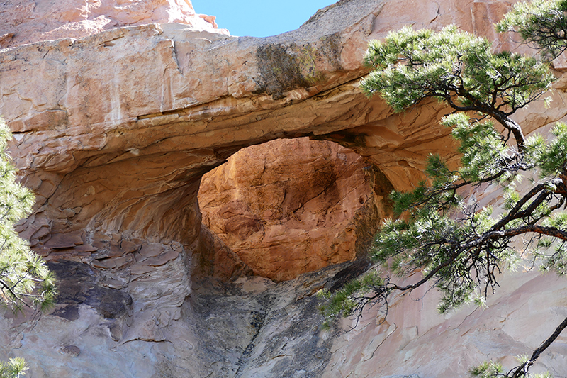 Sandstone Bluffs [El Malpais National Monument]