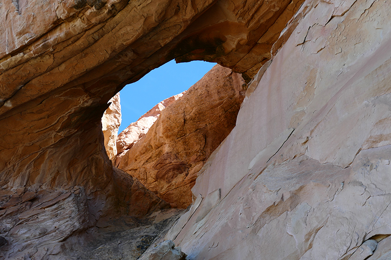 Sandstone Bluffs [El Malpais National Monument]