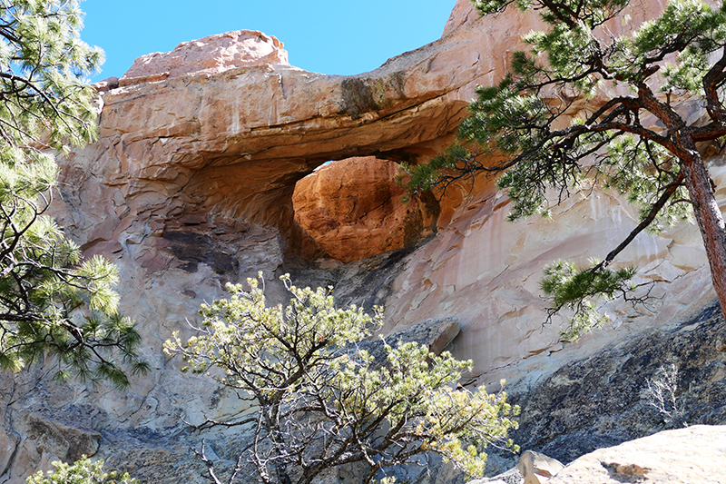 Sandstone Bluffs [El Malpais National Monument]