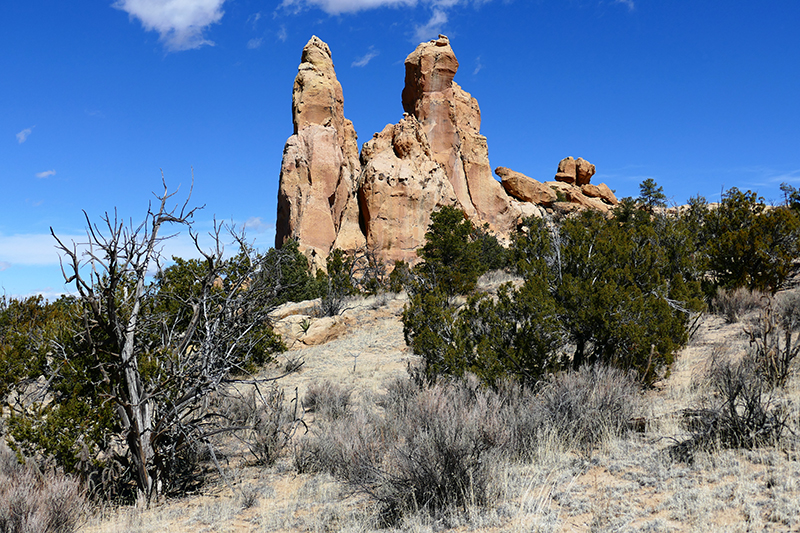 Sandstone Bluffs [El Malpais National Monument]