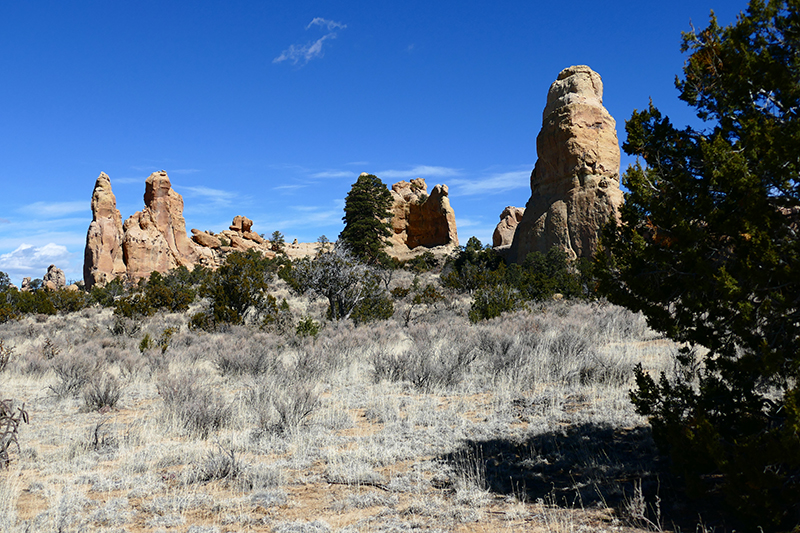 Sandstone Bluffs [El Malpais National Monument]