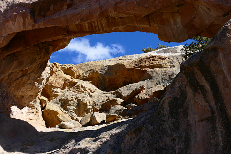 Sandstone Bluffs [El Malpais National Monument]