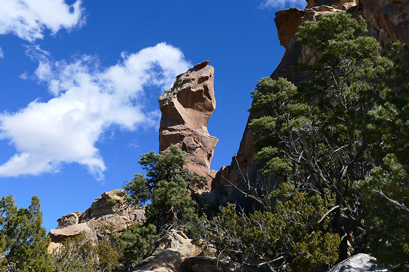 Sandstone Bluffs [El Malpais National Monument]