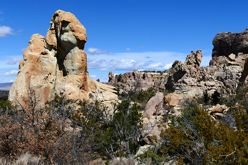 Sandstone Bluffs [El Malpais National Monument]