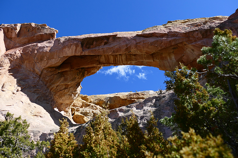 Sandstone Bluffs [El Malpais National Monument]