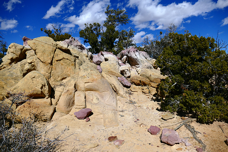 Sandstone Bluffs [El Malpais National Monument]