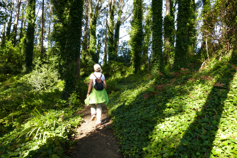 Bilder von der Wanderung Sausalito - Golden Gate - San Francisco - Pictures of the Hike Sausalito - Golden Gate - San Francisco