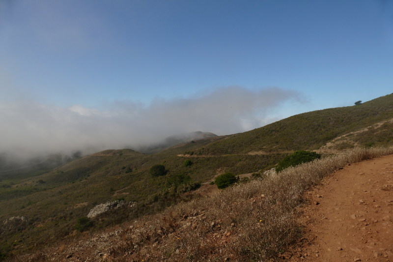 Bilder von der Wanderung Sausalito - Golden Gate - San Francisco - Pictures of the Hike Sausalito - Golden Gate - San Francisco