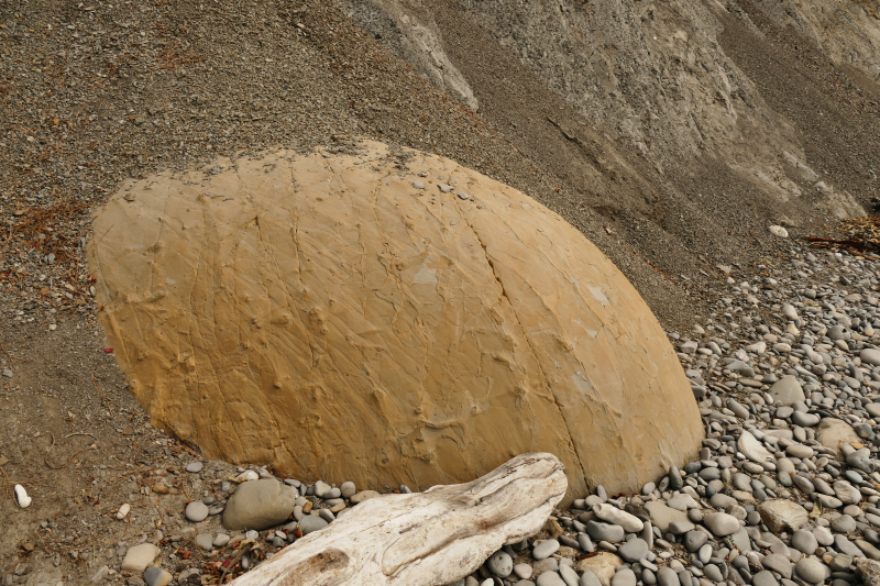 Bild Bowling Ball Beach