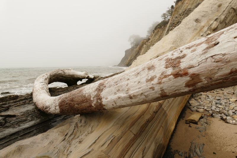 Schooner Gulch State Beach - Bowling Ball Beach