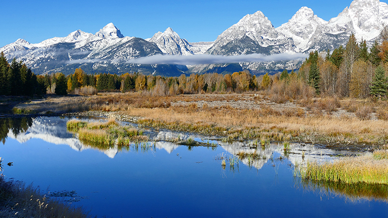 Schwabachers Landing Grand Teton National Park