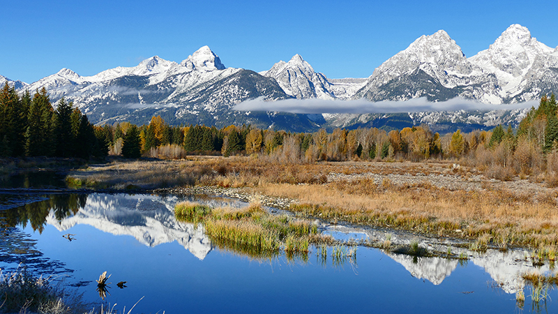 Schwabachers Landing Grand Teton National Park